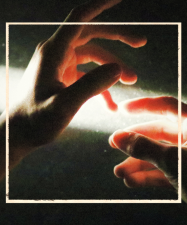 белая полоса