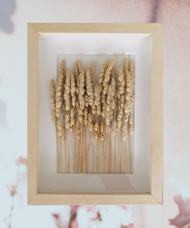 осознанность